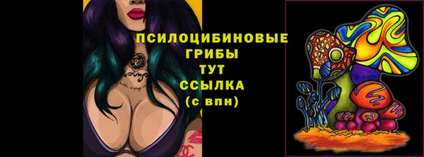 jwh Вязьма