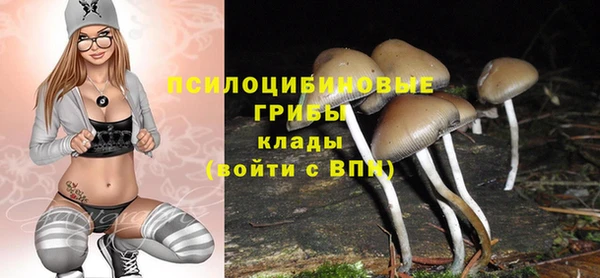 кокаин премиум Вяземский