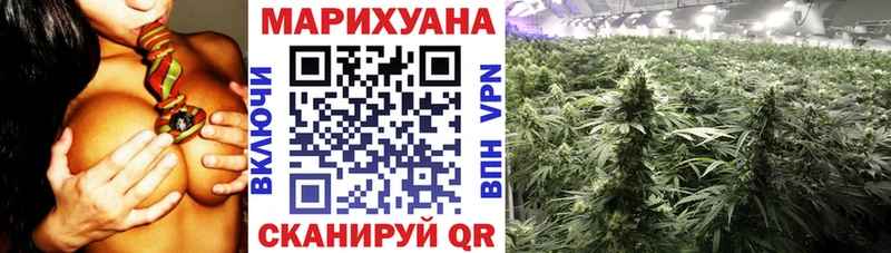 мориарти формула  Ачинск  Бошки марихуана Bruce Banner 